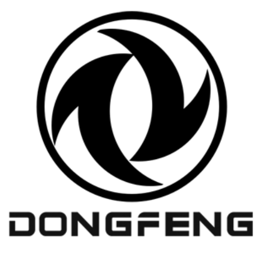 DFM
